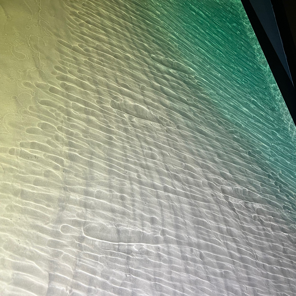 f14_ma_boukun_ocean_art__03